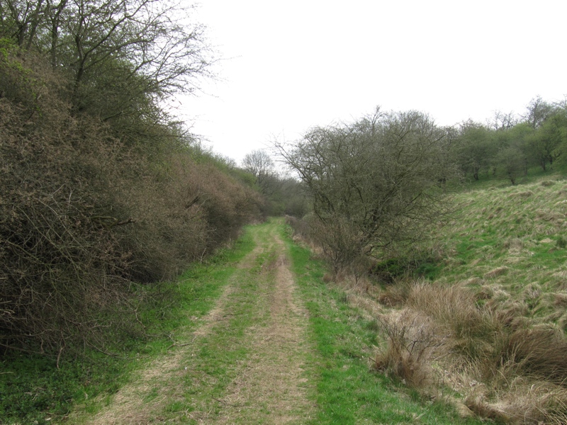 Ein paar Jahre später. der gleiche Blick vom Häselei in Richtung Sundhausen, rechts der Weingarten.
