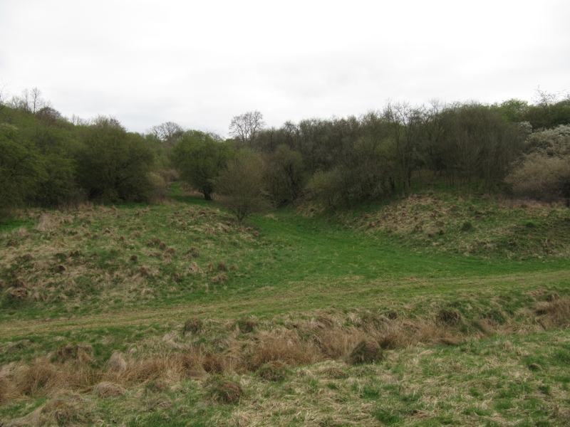 Vom Dickicht überwuchert, ließen sich hier einst die Überreste eines alten Kellergewölbes entdecken.