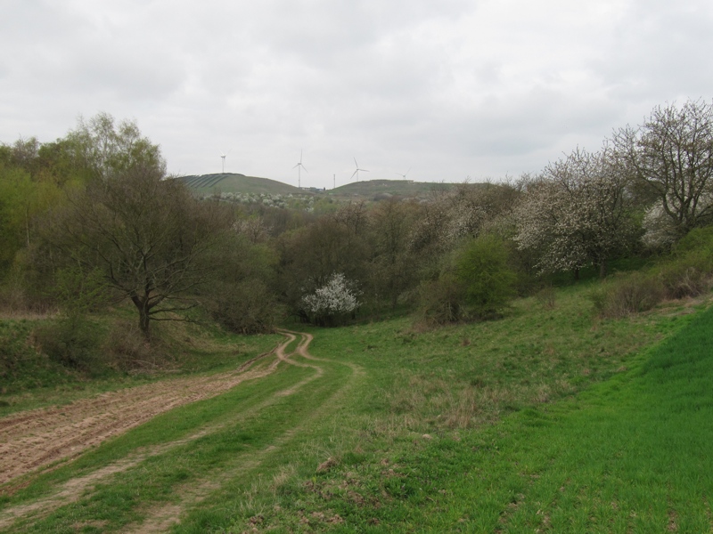 Von der Quelle des Klingenbachs, Blick in Richtung Häselei.