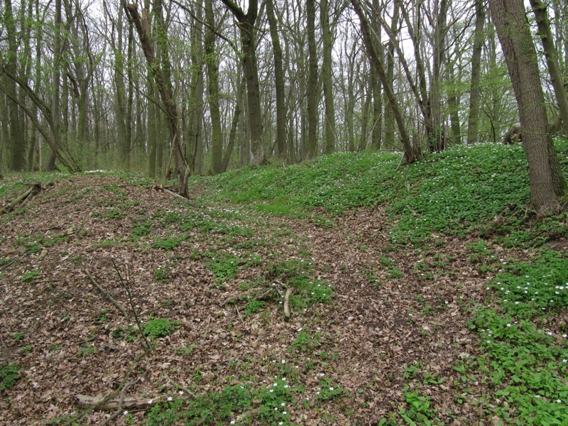Häselei, ein beliebtes Ausflugsziel der Sundhäuser.
