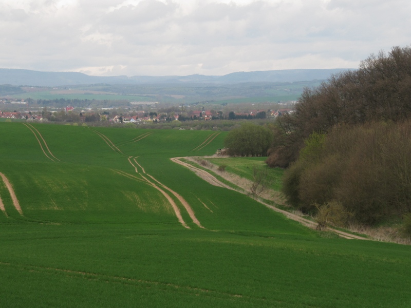 Ein paar Jahre später. der gleiche Blick vom Häselei in Richtung Sundhausen, rechts der Weingarten.