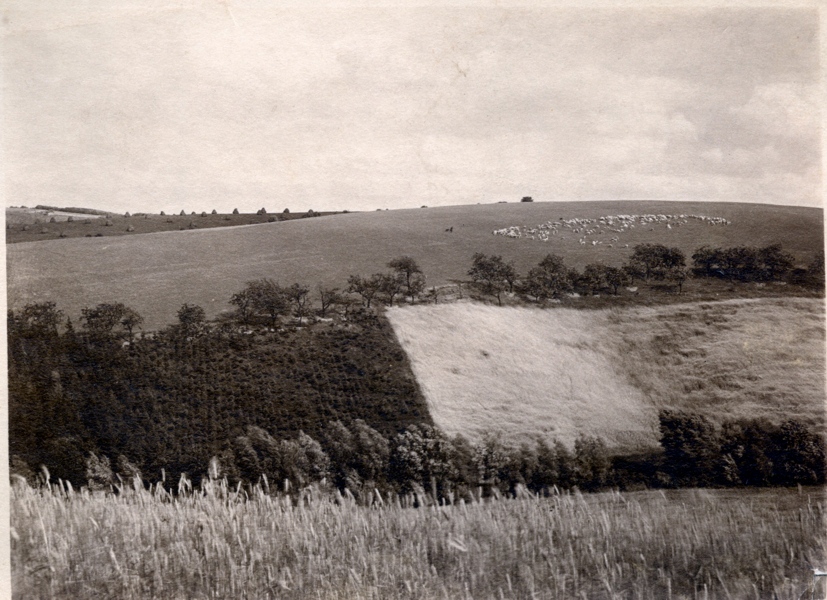 Sturztal