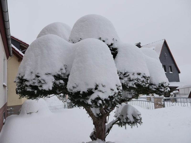 Winterimpression