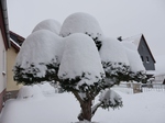 Winterimpression